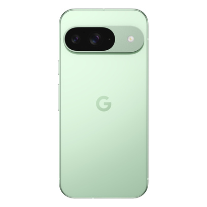 Google Pixel 9 5G 12/128GB Zielony (Wintergreen)