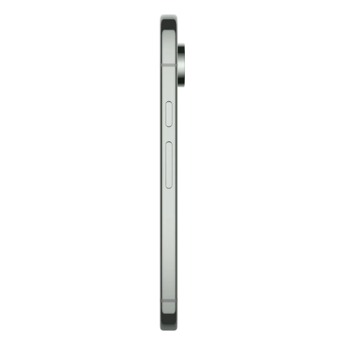 Google Pixel 9 Pro 5G 16/256GB Szary (Hazel)
