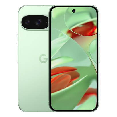 Google Pixel 9 5G 12/256GB Zielony (Wintergreen)