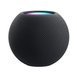 Inteligentny Głośnik Apple HomePod Mini Gwiezdna Szarość